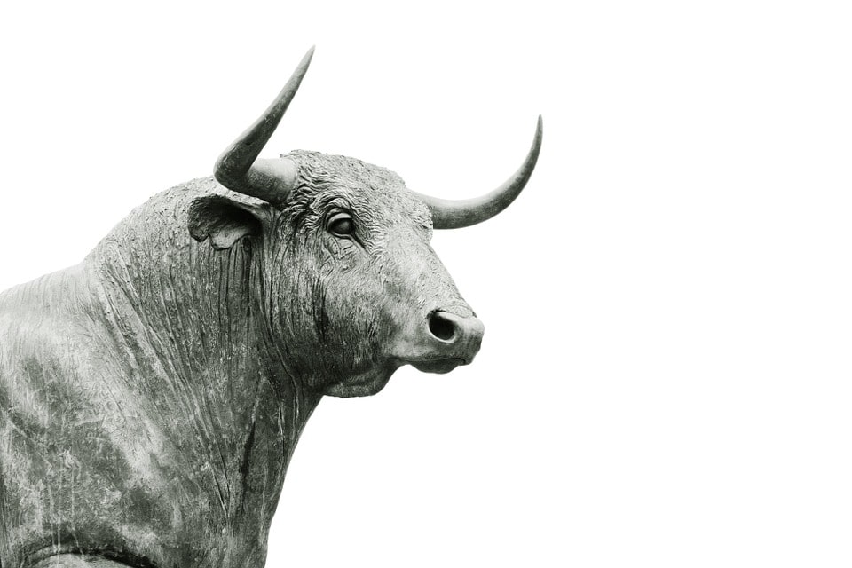 2512Don’t Confuse Brains With A Bull Market