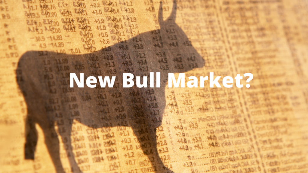 3917Don’t Confuse Brains With A Bull Market